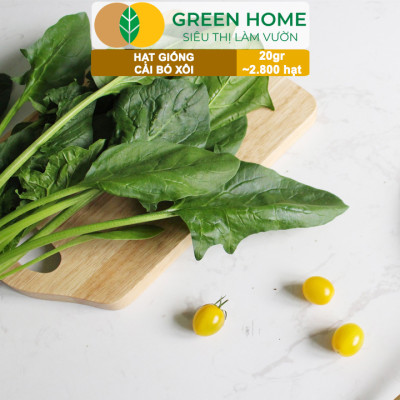 Hạt Giống Rau Cải Bó Xôi GreenHome, Gói 20g~2800 hạt, Dễ Trồng Nảy Mầm Cao, Năng Suất Cao R07
