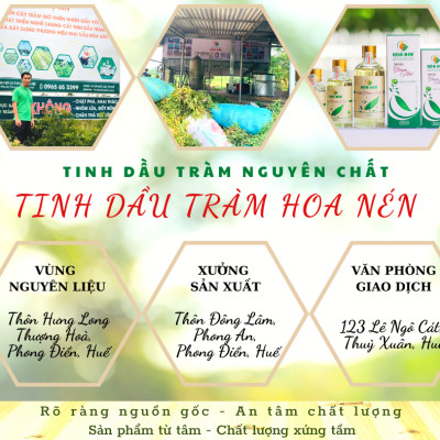 Tinh dầu tràm Huế nguyên chất Hoa Nén - Chuẩn VietGAP - Chăm sóc sức khỏe mẹ và bé 3ml - 100ml