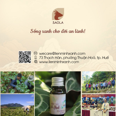 Tinh dầu Sả Huế thương hiệu Làng Hạ 30ml: Dùng để xông phòng, làm sạch không khí, xua đuổi côn trùng