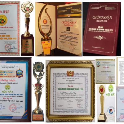 Tinh dầu Khuynh Diệp (bạch đàn) 50ml nguyên chất từ thiên nhiên - Mộc Mây