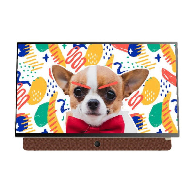 24P6300 - Google Tivi Xách Tay Di Động FHD 24 Inch Skyworth - Hàng Chính Hãng