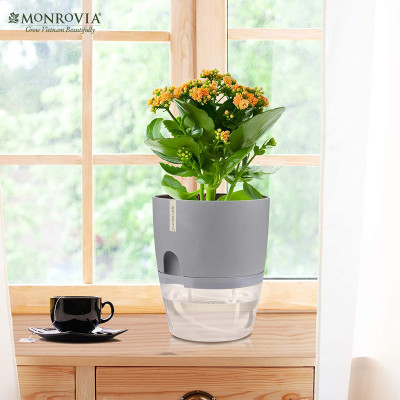 Chậu trồng cây tự tưới thông minh Monrovia, để bàn, trang trí trong nhà, bàn làm việc, sang trọng, Tiêu Chuẩn Châu Âu