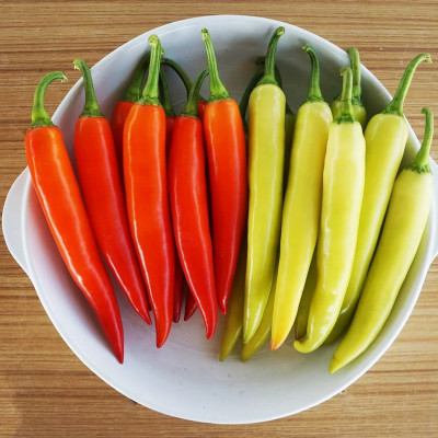 Hạt giống Ớt sừng vàng da bóng trái sai và to đều VTP88