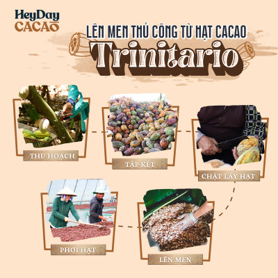 Bột cacao nguyên chất 100% Việt Nam - Dòng Balanced phổ thông túi 200g -  Chuyên dùng làm bánh, pha chế cho quán cà phê - Heyday Cacao