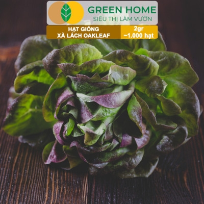 Hạt Giống Xà Lách Oakleaf, Gói 5gr~ 1000 hạt, Dễ Trồng Quanh Năm, Thu Hoạch Nhanh, Năng Suất Cao R22
