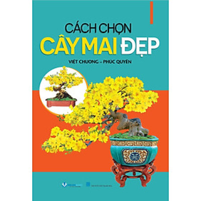 Cách Chọn Cây Mai Đẹp