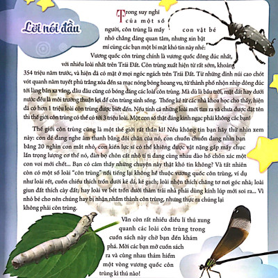 Bách Khoa Động Vật Dành Cho Trẻ Nhỏ - Côn Trùng