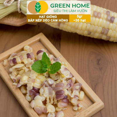 Hạt Giống Bắp Nếp Dẻo Cẩm Hồng, Greenhome, Gói 5GR~30 hạt, Dễ Trồng Quanh Năm, Nảy Mầm Cao, T31
