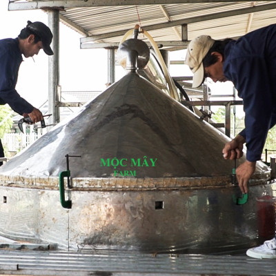 Tinh dầu Táo 100ml Mộc Mây - tinh dầu thiên nhiên nguyên chất 100% - chất lượng và mùi hương vượt trội - Có kiểm định