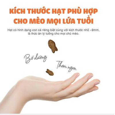 [1KG] - Thức ăn hạt cho mèo mọi lứa tuổi Tuổi Cat