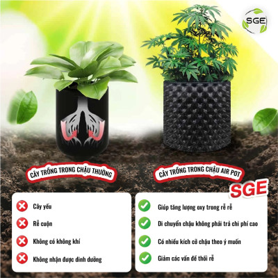 Chậu Cây Air Pot Làm Từ Nhựa HDPE Và Không Dễ Bị Vỡ, Dễ Sử Dụng, Tái Sử Dụng Đơn Giản, Thân Thiện Với Môi Trường SGE