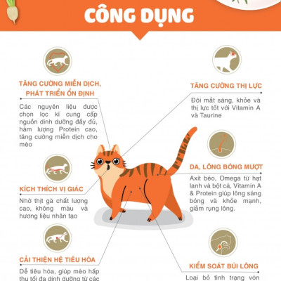 [1KG] - Thức ăn hạt cho mèo mọi lứa tuổi Tuổi Cat