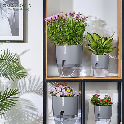 Chậu trồng cây tự tưới thông minh Monrovia, để bàn, trang trí trong nhà, bàn làm việc, sang trọng, Tiêu Chuẩn Châu Âu