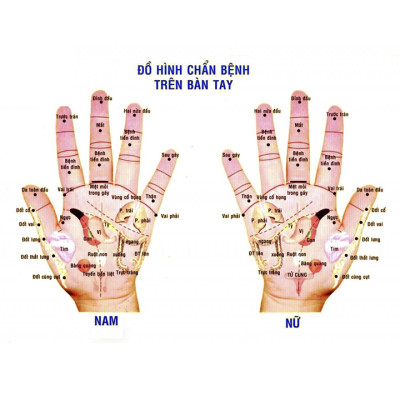 Combo 2 cây ấn huyệt bằng gỗ Bách Xanh có mùi thơm nhẹ (MH856) Làm đẹp da, đả thông kinh mạch