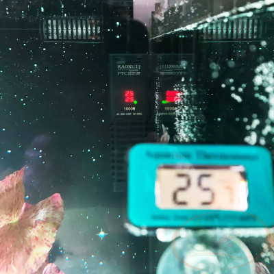 Sưởi điện tử KaoKui PTC Heating Rods 300W / 500W / 1000W giữ ấm nhiệt chính xác bể cá tép thủy sinh