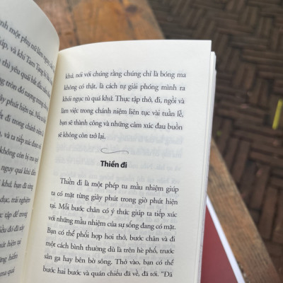 THIỀN CHO NGƯỜI BẬN RỘN – Thích Nhất Hạnh – Phương Nam Book – NXB Thế Giới (Bìa cứng)