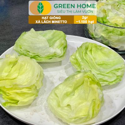 Hạt Giống Xà Lách MINETTO GreenHome, Gói 2gr1100 hạt, Dễ Trồng Quanh Năm, Năng Suất Cao R19