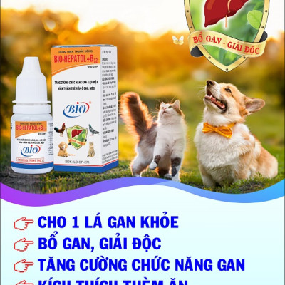 1 hộp (20 chai) Bio Hepatol B12 mát gan, giải độc, kích thích thèm ăn cho thú cưng