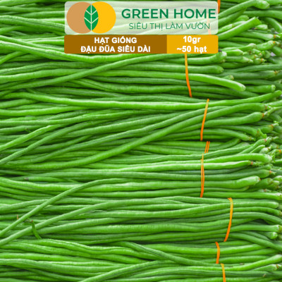 Hạt Giống Đậu Đũa Siêu Dài, Greenhome, Gói 10GR~50 hạt, Dễ Trồng Quanh Năm, Nảy Mầm Cao, T39