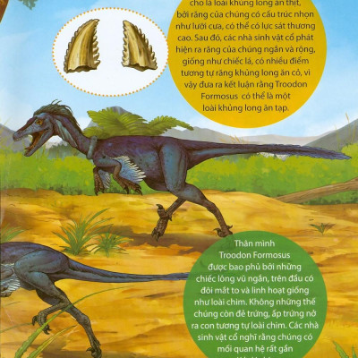 Kiến Thức Về Khủng Long - Người Khủng Long Có Tồn Tại Thật Không ? Sự Tiến Hóa Và Phân Loại Khủng Long