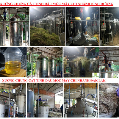 Tinh dầu hoa Hồng 10ml Mộc Mây - tinh dầu thiên nhiên nguyên chất 100% - chất lượng và mùi hương vượt trội