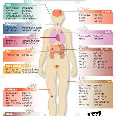 Tinh Dầu Ngọc Lan Tây Kobi - Tinh Dầu Thiên Nhiên Nguyên Chất, Tinh Dầu Xông Phòng, Giúp Giảm Stress, Xua Đuổi Côn Trùng Và Khử Mùi Hiệu Quả, Thích Hợp Dùng Với Đèn Xông Và Máy Khuếch Tán Tinh Dầu (5ml)