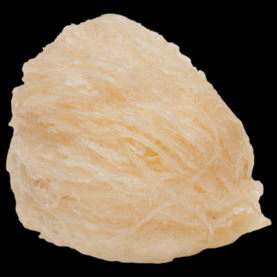 Tổ Yến Trắng Sơ Chế - Nhà Yến Nha Trang - Loại Chất Lượng 4.5 - Hộp 50 Gram - Tổ Yến Sơ Chế - Hàng Chính Hãng