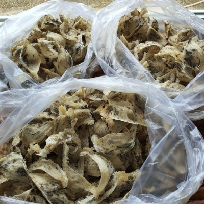 Yến sào thô Hồ Phụng Tiên 50g nguyên chất