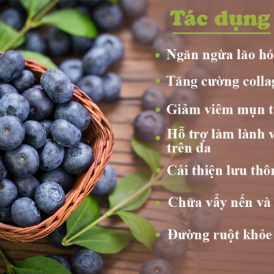 Trái Việt Quất Khô Tự Nhiên Hiệu Snow Farms Nhập khẩu Từ Canada Đồ Ăn Vặt - 40g