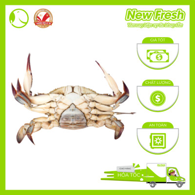 Ghẹ Xanh Nguyên Con Cấp Đông - Túi 1Kg