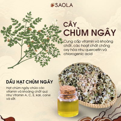 Dầu Hạt Chùm Ngây SAOLA, Nguyên Chất, Chống Lão Hoá, Mờ Thâm Sẹo, Da Sáng Mịn, 10ml và 30ml