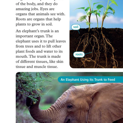 Oxford Read and Discover 6 Cells and Microbes