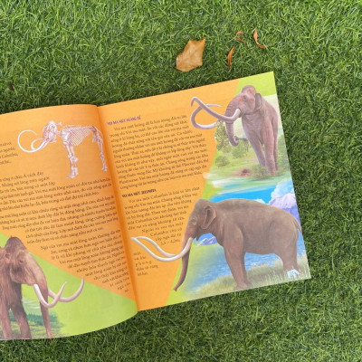 Sách: Bách Khoa Động Vật Dành Cho Trẻ Nhỏ - Động Vật Tiền Sử - TSTN