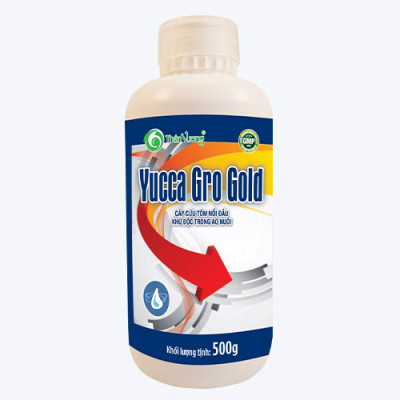 Hấp thụ khí độc ao tôm YUCCA GRO GOLD
