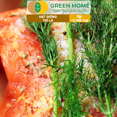 Hạt Giống Rau Thì Là Greenhome, Gói 5gr~2400 hạt, Dễ Trồng, Nảy Mầm Cao, Thu Hoạch Nhanh, Năng Suất Cao G11