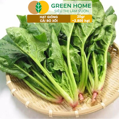 Hạt Giống Rau Cải Bó Xôi GreenHome, Gói 20g~2800 hạt, Dễ Trồng Nảy Mầm Cao, Năng Suất Cao R07