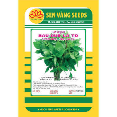 Hạt giống rau quế - húng quế - É Quế gói 5g VTS98