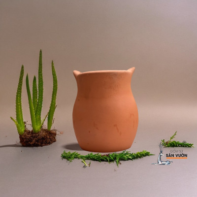 Chậu Gốm Đất Nung Hình Chú Cú Nhỏ Dễ Thương _ Chậu Gốm Đất Nung Trồng Sen Đá