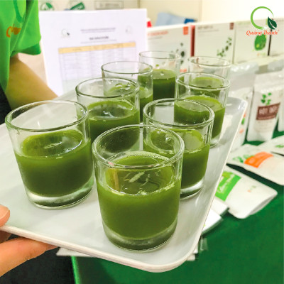 Rau Má Uống Liền Sấy Lạnh Nguyên Chất Hộp 6 Tuýp - Mát gan, detox, giảm mụn, giảm cân, giải nhiệt