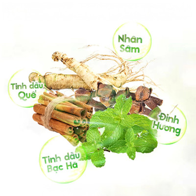 Dầu lăn sâm Nhị Thiên Đường Essential Oil 10ml (01 chai/02 chai/03 chai/04 chai/05 chai/10 chai) - Hàng chính hãng