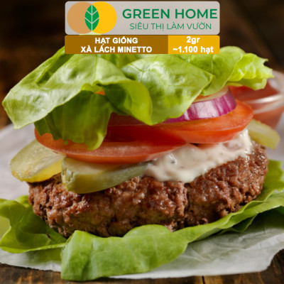 Hạt Giống Xà Lách MINETTO GreenHome, Gói 2gr1100 hạt, Dễ Trồng Quanh Năm, Năng Suất Cao R19