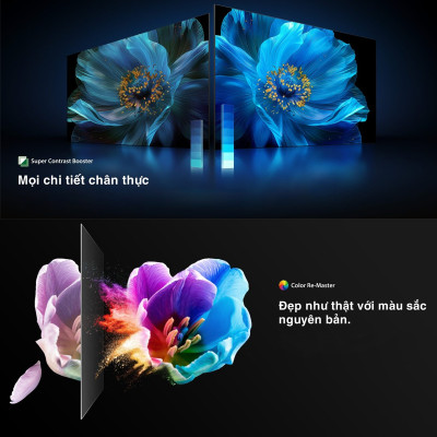 Smart Tivi QLED TOSHIBA 55 inch 55M450NP, Màn Hình Quantum Dot 4K UHD - Giao Hàng Toàn Quốc - Hàng Chính Hãng