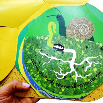 Vòng Đời Kỳ Diệu - Sâu Nhỏ Hóa Bướm