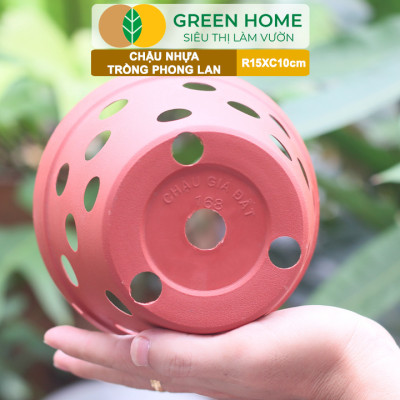 Chậu Trồng Lan Greenhome, R15xC10cm, Nhựa Màu Gốm, Bền, Đẹp, Chống Rơi Vỡ, Thoáng Rễ, Giá Thành Tốt