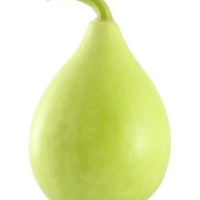 Hạt giống Bầu quả tròn -  bầu Baby F1 giống ngắn ngày kháng bệnh VTP01