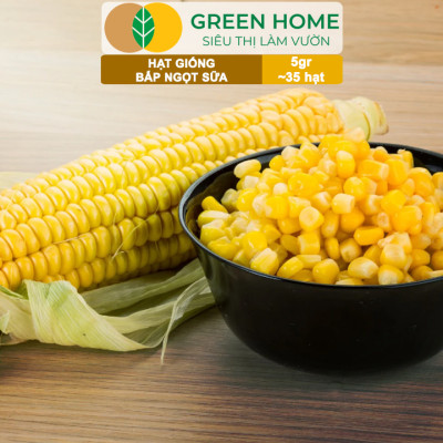 Hạt Giống Bắp Sữa Ngọt, Greenhome, Gói 5GR~35 hạt, Dễ Trồng Quanh Năm, Nảy Mầm Cao, T32