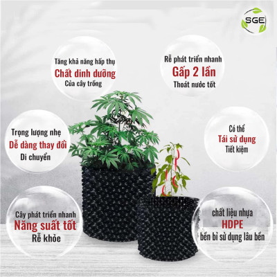 Chậu Cây Air Pot Làm Từ Nhựa HDPE Và Không Dễ Bị Vỡ, Dễ Sử Dụng, Tái Sử Dụng Đơn Giản, Thân Thiện Với Môi Trường SGE