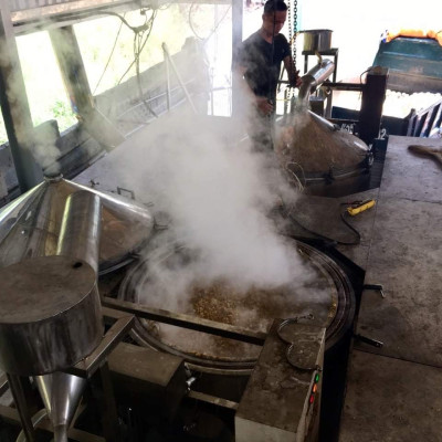 Tinh dầu Tràm Huế (Tràm Gió) 50ml xuất khẩu thị trường Mỹ, nguyên chất từ  thiên nhiên, An Toàn Cho Bé, Xông Phòng, Khử Mùi, Kháng Khuẩn, Đuổi Muỗi, Giải Cảm - KingOil