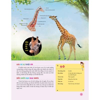 Sách - Bách Khoa Toàn Thư Tìm Hiểu Về Trái Đất - Thế Giới Động Vật - Minh Thắng