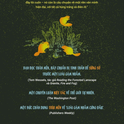 Đế Chế Hải Ly - Khúc Tráng Ca Về Những Kỹ Sư Kiến Tạo Đồng Lầy